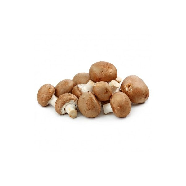 Champignon Portobello gros calibre Brun 1 kg