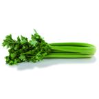 Céleri vert au kg