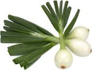 Oignons botte à la botte