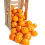 Orange à jus caisse de 12,5 kg