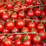Tomate cerise 250g