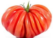 Tomates Cœur de bœufs au kg