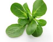 Laitues Mâches 400g