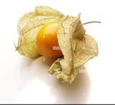 Physalis 100 gr