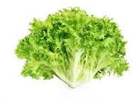 Frisée Blanche à la pièce 300gr