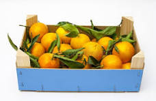 Mandarine caisse de 6 kg