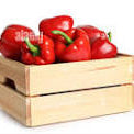 Poivrons Rouge Caisse de 5 kg